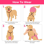 Qpets Dog Diaper Suspenders Strap for Medium Large Pets 34–65cm featuring Secure Clips and Y Shape Harness