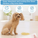 Qpets Puppy Pads for Training and Incontinence 50 Counts 25×30cm with Leak Proof Non Woven Fabric