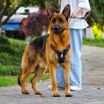 Qpets Dog Harness for Large Dogs 22.5–45kg with Reflective Strips and Control Handle | Red Oxford Vest 2PCS