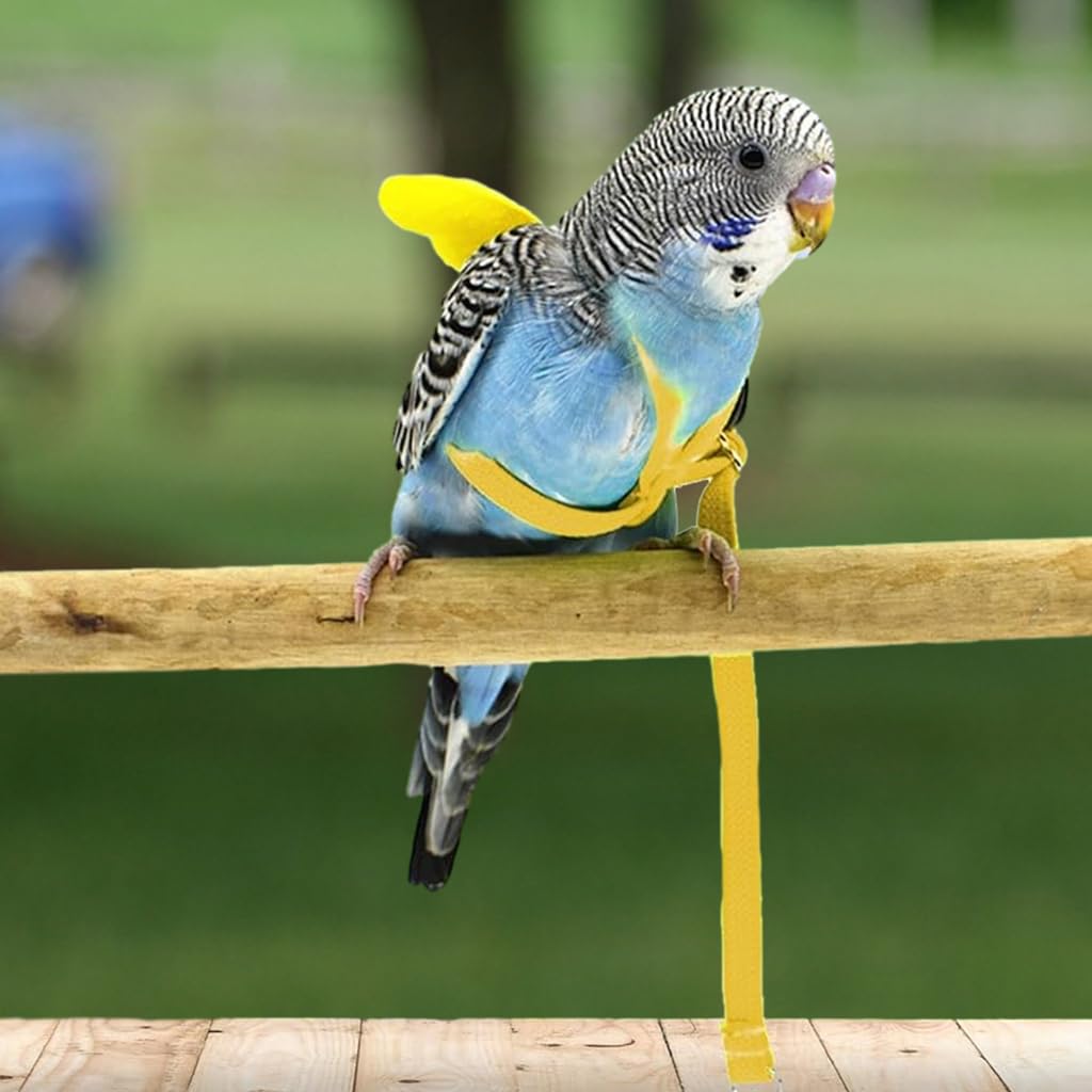 Qpets Bird Harness for Parrots with 2 m Elastic Leash and Quick Release Buckle | Adjustable Soft Belt