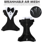 Qpets Dog Vest Harness Set with 1.5m Leash featuring 360° Swivel Buckle and Dacron Fabric