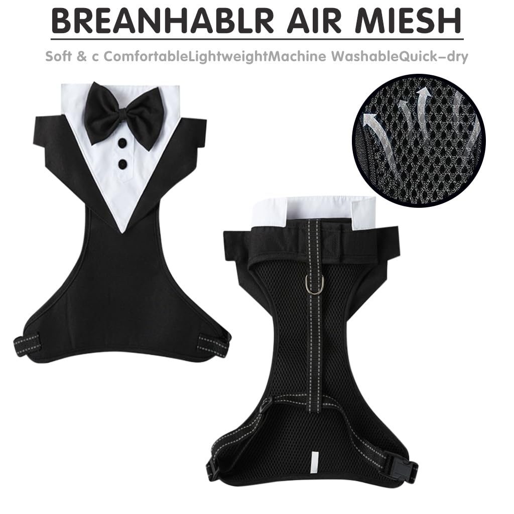 Qpets Dog Harness Set for Weddings and Birthdays with 1.5m Leash featuring 360° Swivel