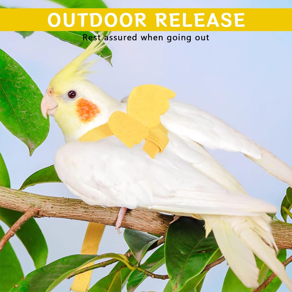 Qpets Bird Harness for Parrots with 2 m Elastic Leash and Quick Release Buckle | Adjustable Soft Belt