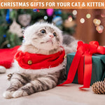 Qpets Cat Feather Toy for Interactive Play with Dual Wire Wand and Stable Suction Cup Base 3 PCS