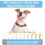 Qpets Dog Toothbrush Kit for Small Dogs with 5 Brushes featuring Silicone Finger Brush | Gentle Oral Care