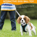 Qpets Dog Ball for Interactive Play featuring Transformable Saucer Design and LED Glow | Pet-Friendly Plastic Toy