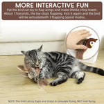 Qpets Cat Toy for Playtime with 3 Mode Electric Flapping Wings and Soft Plush Design