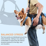 Qpets Dog Lift Harness for Aging and Injured Dogs with 22 in Body Support & Quick Release Buckle