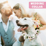 Qpets Pet Wedding Flower Collar for Dogs with Adjustable Tie Back | Ideal for Festivals & Photography