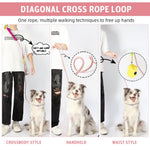 Qpets Dog Leash for Training and Walking with 360° Swivel Buckle and Soft Padded Grip | 6ft Nylon Pink