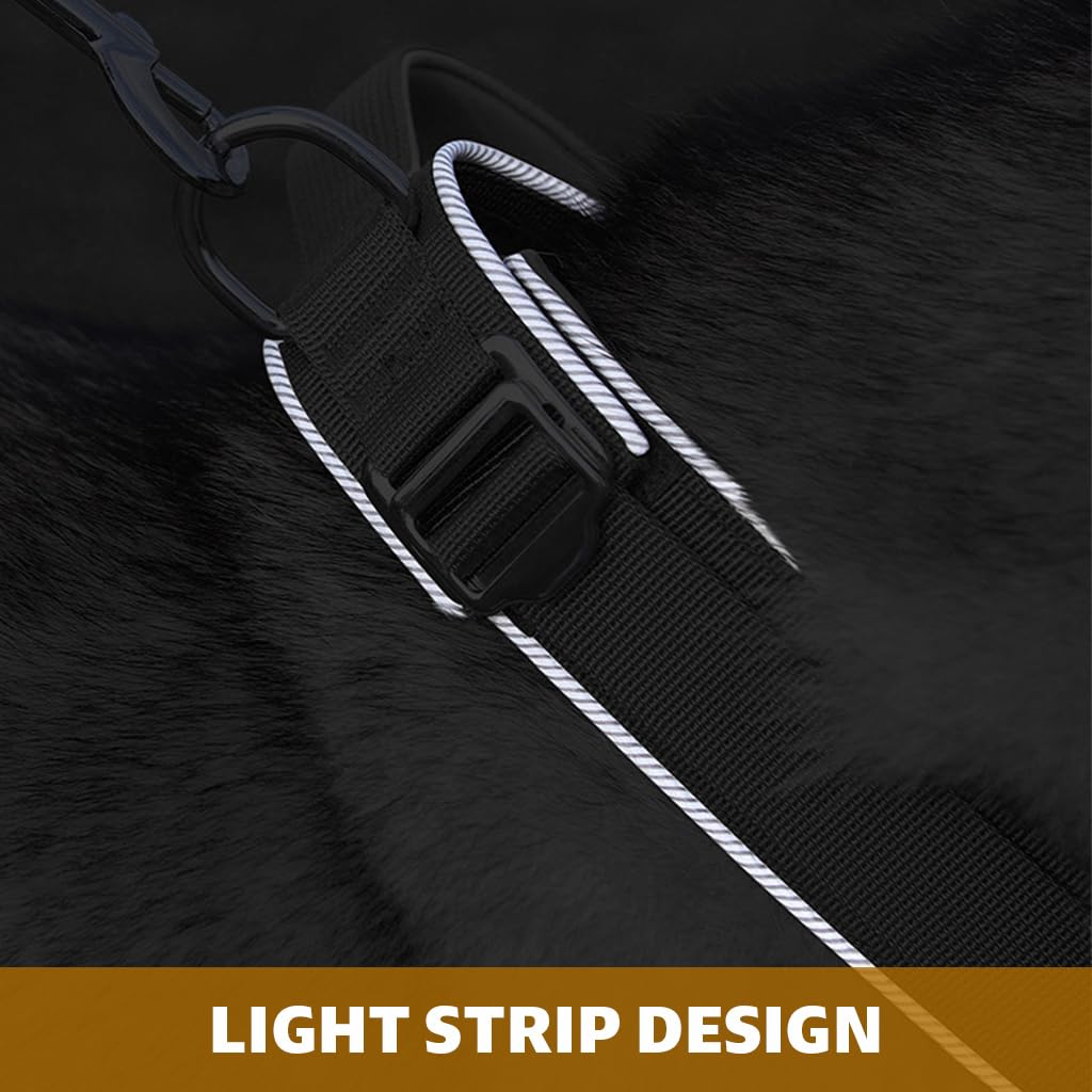 Qpets Dog Collar for 30–50kg Dogs with Control Handle and D Ring | Reflective Nylon Training Design