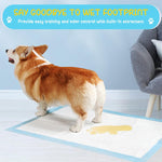 Qpets Dog Pee Pads for Puppy Training with 60x90cm Size and Honeycomb Absorption | 20 PCS
