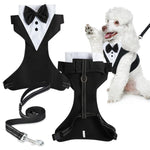 Dog Tuxedo Harness, Fashionable Dog Tuxedo Harness Set with Traction Rope and Chest Harness, Dog Vest Pet Suit Holiday Dress Puppy Kitten Wearing, S