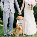 Qpets Dog Bandana Scarf for Wedding and Engagement Photos featuring 70×35×35 cm Fabric | Cat Friendly