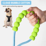 Qpets Dog Leash for Training and Walking with 360° Alloy Buckle & Soft Padded Grip | 6ft Nylon Green
