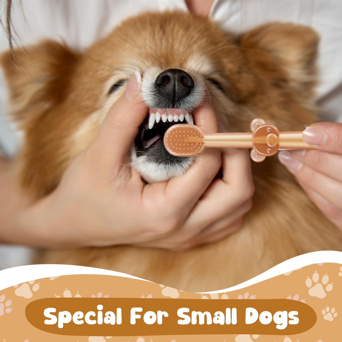 Qpets Pet Toothbrushes Set for Dogs and Cats with Soft Silicone Bristles and Storage Case | 3Pcs Teeth Cleaning Kit