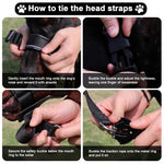 Qpets Dog Head Collar for No Pull Training with Quick Release Buckle and Soft Leather Liner