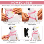 Qpets Parrot Bird Harness for Outdoor Flight with 2m Elastic Leash and Angel Wings | Pink M
