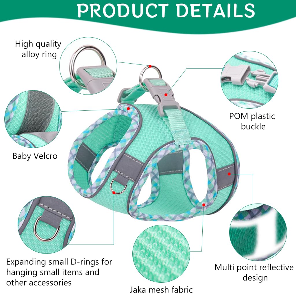 Qpets Small Dog Harness with 4.9 ft Leash featuring Dual D Rings and Breathable Mesh Vest