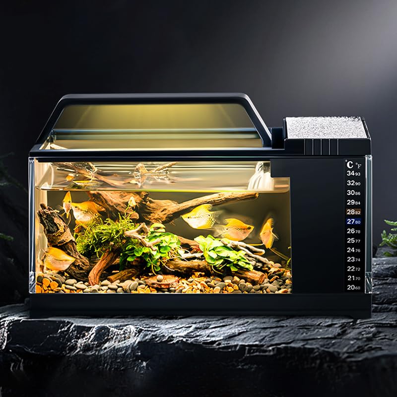 Qpets Small Desk Fish Tank for Home or Office with LED Light Air Pump and Thermometer
