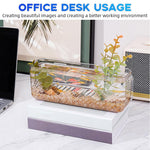 Qpets Wall Fish Tank for Home and Office Decor with Self Adhesive Mount | Transparent Plastic Organizer