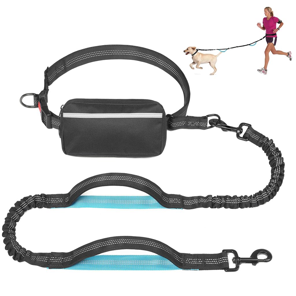 Qpets Dog Leash for Walking and Running with Dual Handle and Reflective Waist Bag | Adjustable Polyester Hands Free Design