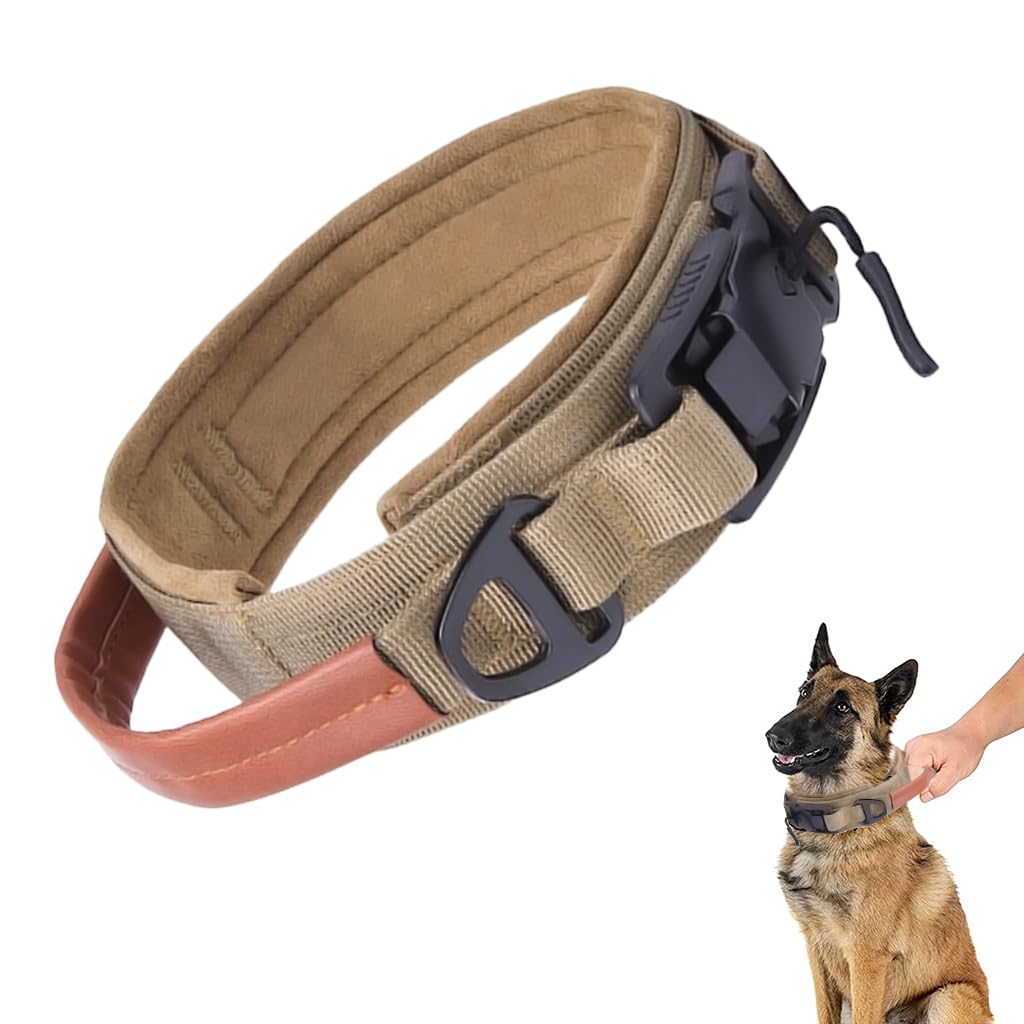 Qpets Dog Collar for Training with PU Handle and Reflective Strip | Adjustable Nylon for Large Dogs 17–20 in