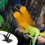 Qpets® Turtle Heat Lamp 50W Light with 3 Timing Settings & with Controller Plug and Go Basking Light Flexible Clip On Basking Lamp