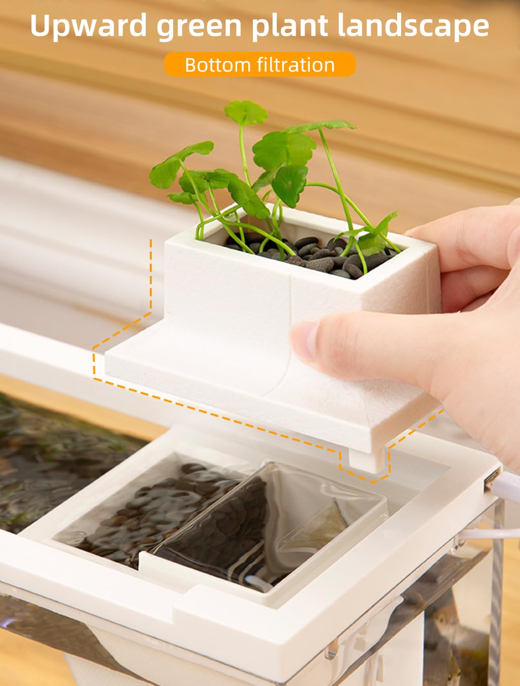 Qpets Mini Betta Fish Tank for Home or Office Decor with LED Lighting and Filtration | Clear Acrylic 30×13×15 cm