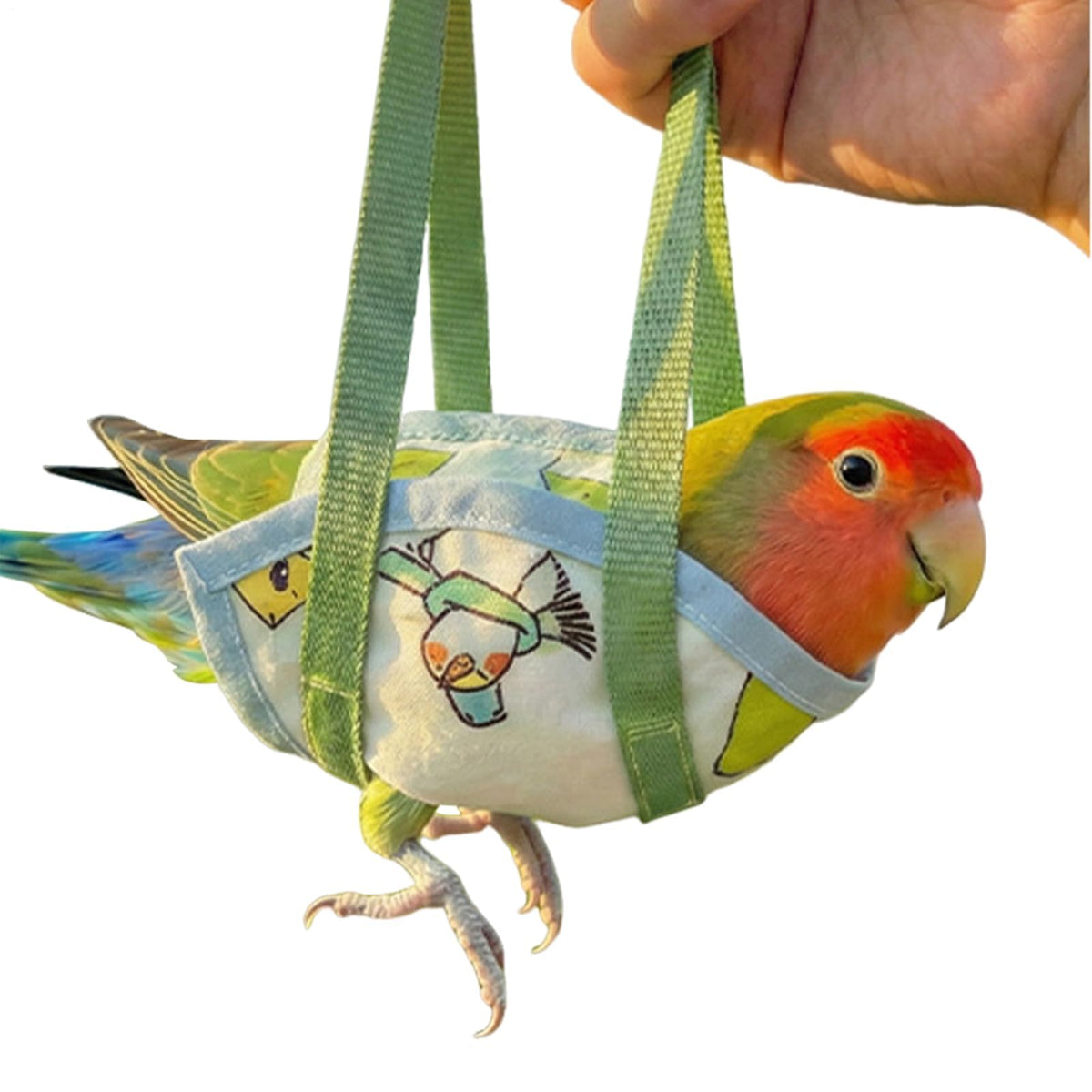 Qpets® Parrot Travel Cage - Escape-Proof Vest Harness | Bird Carrier with Handle Parakeet Travel | Escape-Proof Outdoor Vests for Cockatiel Parakeet Finch Outdoor Indoor Walking Park Garden-Blue-L