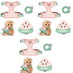 Qpets Dog Harness Vest for Small Pets with Removable Zipper Pouch and Leash Set 3PCS