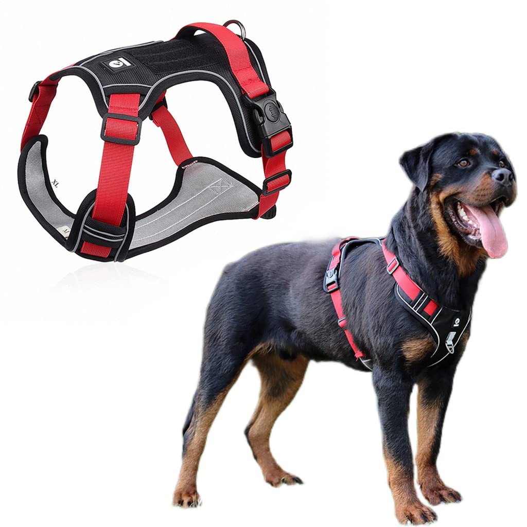 Qpets Dog Harness for Outdoor Control with 4 Adjustable Straps and Reflective Strips | Oxford Cloth Red L for 14–22.5 kg Dogs