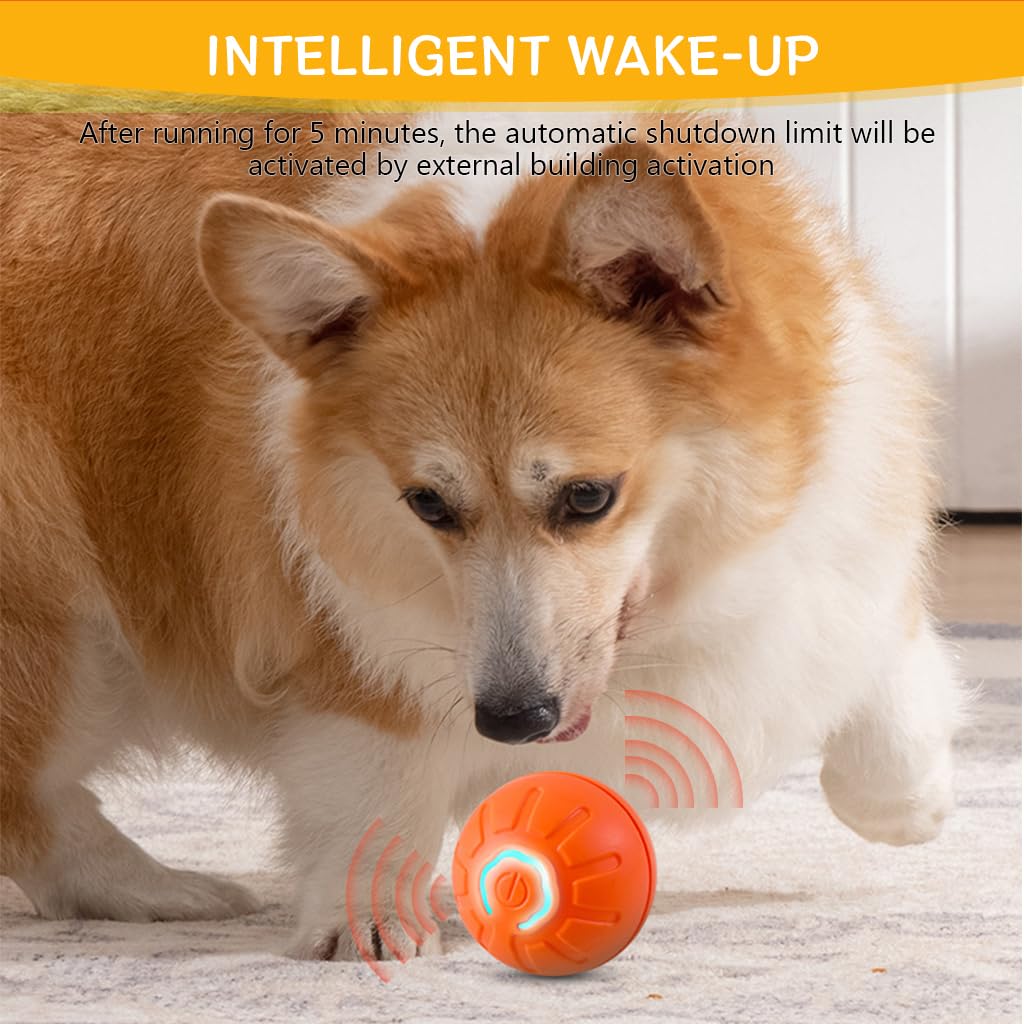 Qpets Small Dog Ball for Indoor and Outdoor Play with 60 Minute Charge and Vibrant Lights | Non Toxic Rubber Toy Relieves Anxiety