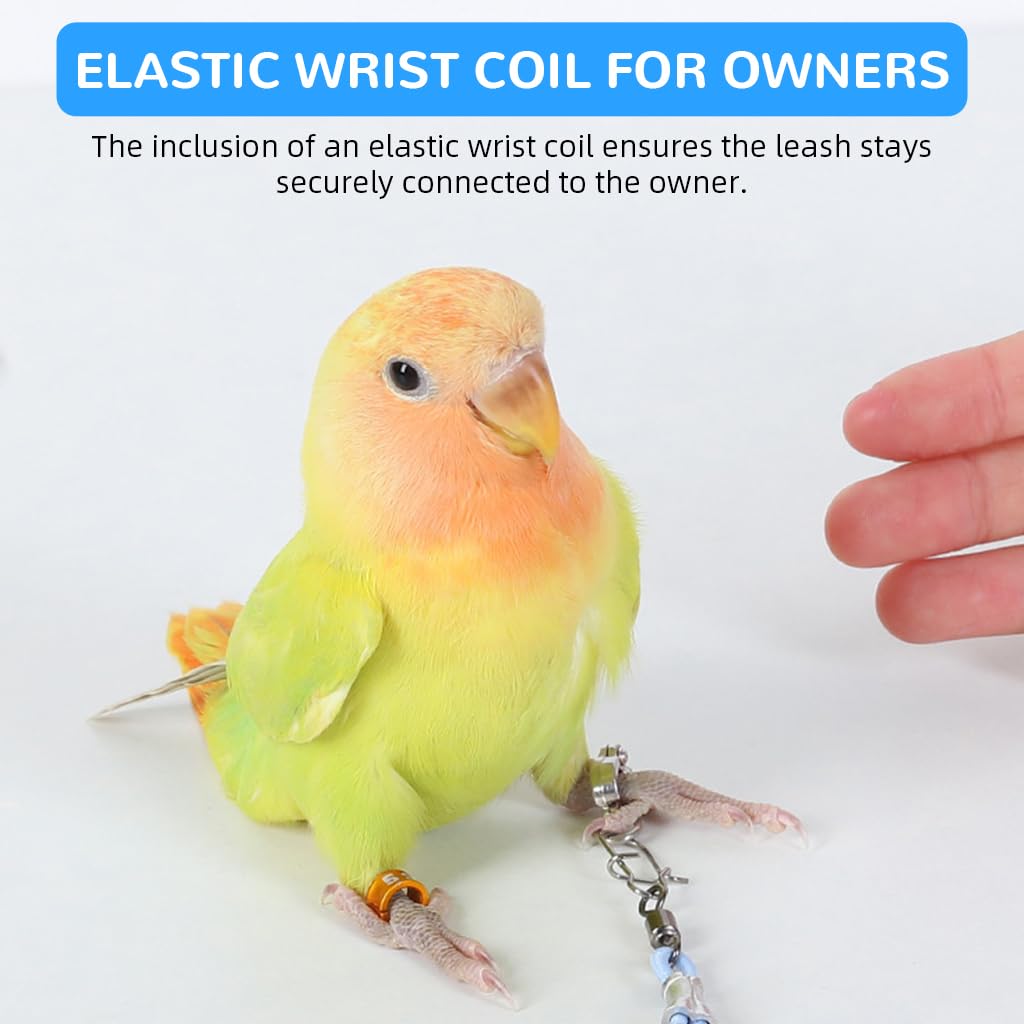 Qpets Parrot Leash for Bird Flying Training with 6.6ft Stretchy Rope and 5 Leg Loops