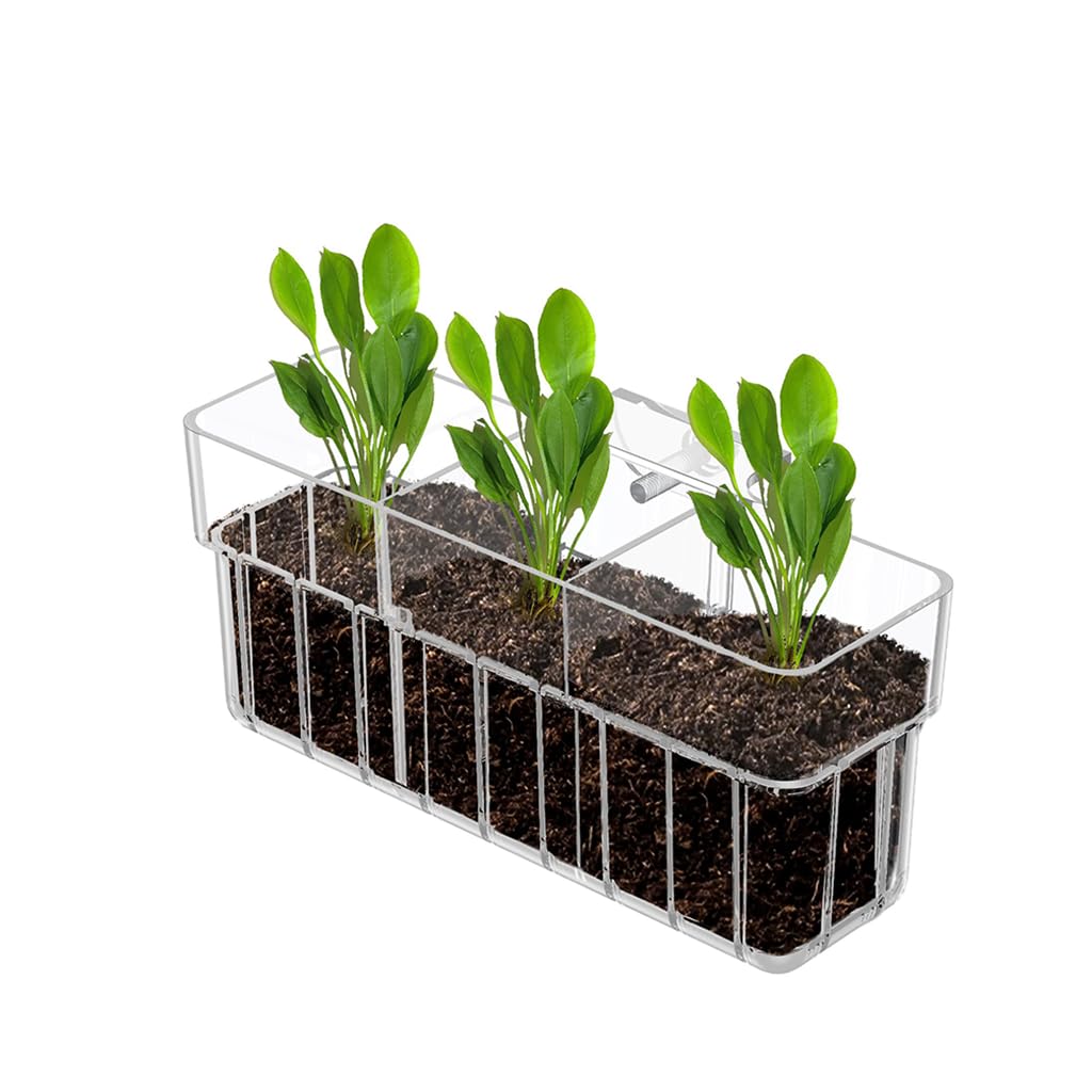 Qpets Clear Acrylic Hydroponic Basket for Fish Tank with Hanging Design 18x6x8cm | Decorative Aquarium Planter for Root Growing & Home Décor