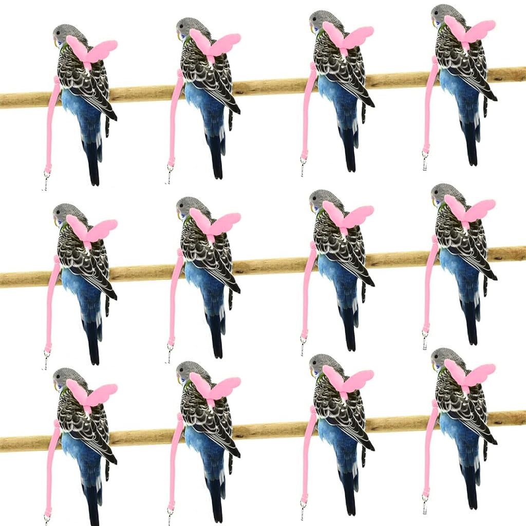 Qpets Pet Parrot Harness for Outdoor Flying with 2 m Elastic Leash and Quick Release Strap | Lightweight Adjustable Design