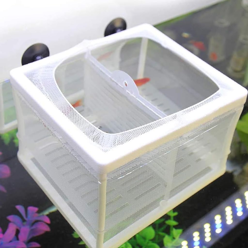 Qpets Fish Breeding Box for Betta with Suction Cups Divider 16x14x15cm Nylon Mesh | 2 pcs