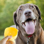 Qpets Dog Water Bottle for Travel with 380ml Capacity and Button Water Control | BPA Free
