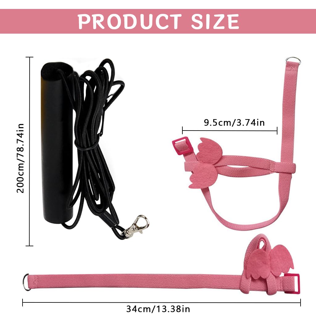 Qpets Parrot Bird Harness for Outdoor Flight with 2m Elastic Leash and Angel Wings | Pink M