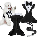 Qpets Dog Harness Set for Weddings and Birthdays with 1.5m Leash featuring 360° Swivel