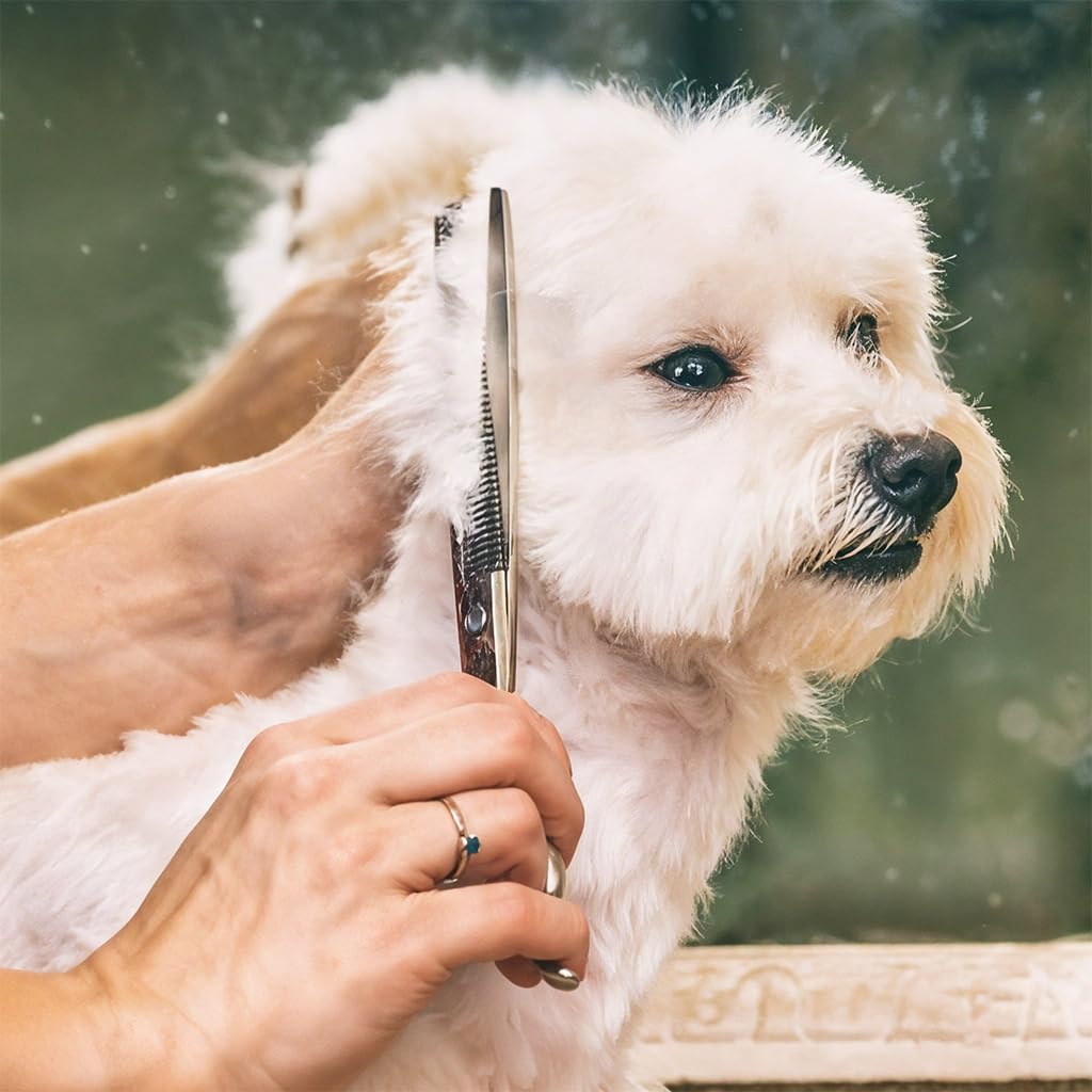 Qpets Dog Bath Brush for Easy Pet Grooming with Built In Soap Dispenser and Soft Silicone Bristles