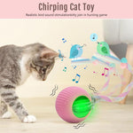 Qpets Electric Cat Ball Toy for Indoor Play with LED Light and Chirping Sounds | USB Rechargeable