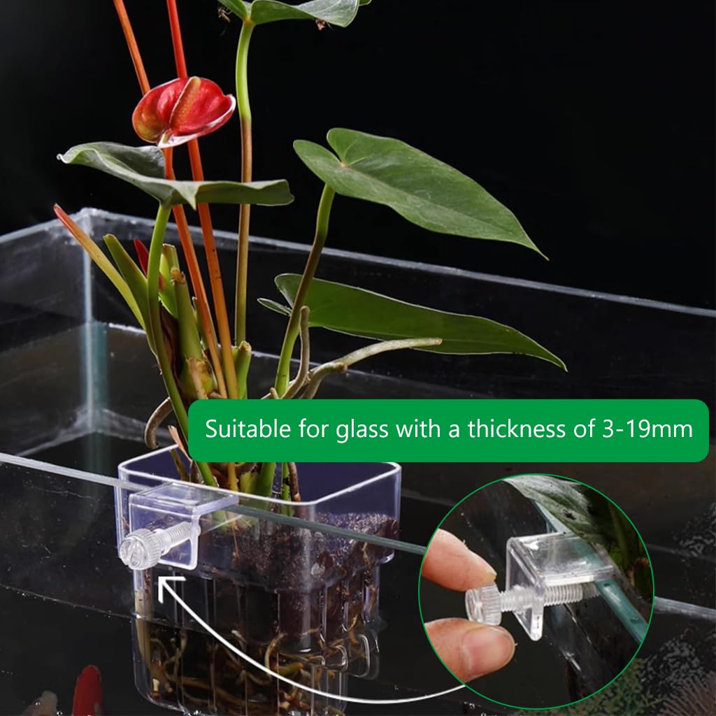 Qpets Aquarium Plant Holder for Fish Tanks featuring Screw Fixed Mount and Draining Holes 8×8×5.7 cm | Clear Acrylic Basket for Freshwater and Saltwater Aquariums