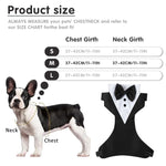 Dog Tuxedo Harness, Fashionable Dog Tuxedo Harness Set with Traction Rope and Chest Harness, Dog Vest Pet Suit Holiday Dress Puppy Kitten Wearing, M