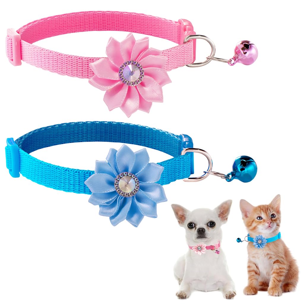 Qpets Cat Collar for Kittens and Small Dogs featuring D Ring and Bell | Adjustable 7.5–12.6 in Set