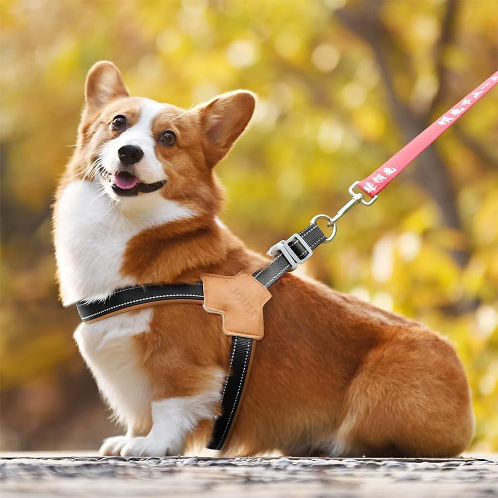 Qpets Reflective Dog Harness for Safe Night Walking with Dual D-Rings and Soft Padded Y-Shape Design