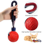 Qpets Dog Chew Toy Ball for Interactive Play with Nylon Braided Loop Handle and TPR Teething Relief