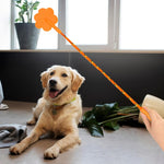 Qpets Dog Training Stick for Obedience and Agility with Non Slip Handle and Lanyard | TPR Rubber Heart Shape Toy