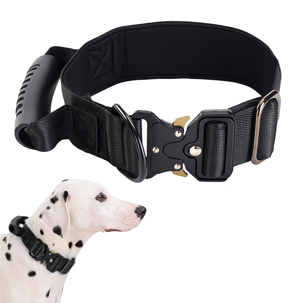 Qpets® Training Dog Collar with Control Handle - Adjustable Nylon Collar with Quick-Release Buckle & D-Ring for Obedience Training & Safe Walking (Size L)