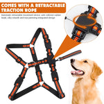 Qpets No Pull Dog Harness for Daily Walks with 59 inch Retractable Leash and Reflective Strips
